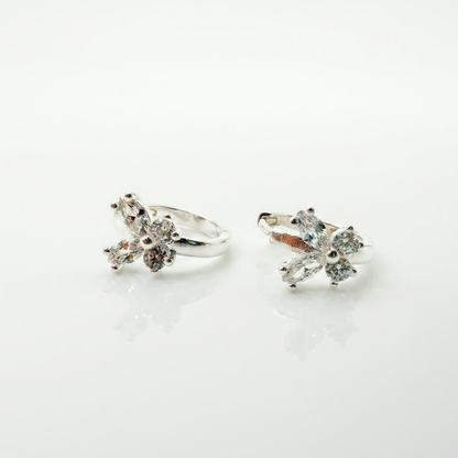 Aros shine wings